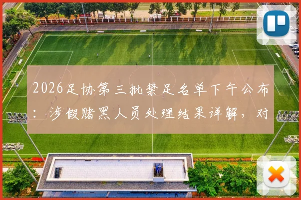 2026足协第三批禁足名单下午公布:涉假赌黑人员处理结果详解,对联赛影响几何?